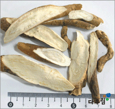 작약(의성/토) 1kg.